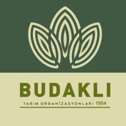 Tombul Pilav